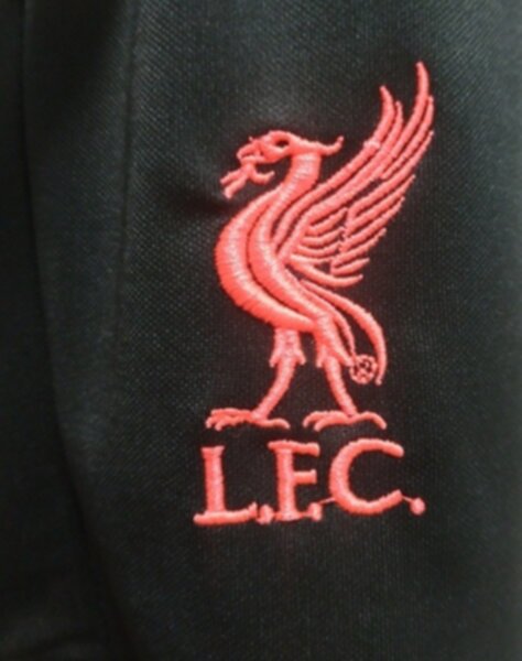 форма Liverpool 2020-2021 резервная