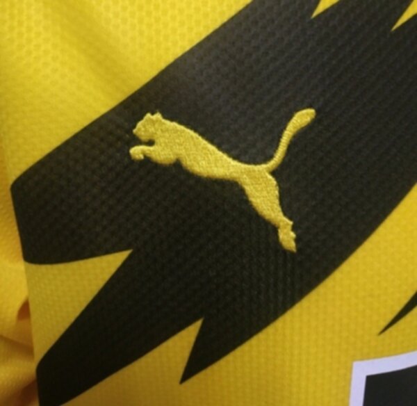 форма Borussia Dortmund  длинный рукав 2020-2021домашняя