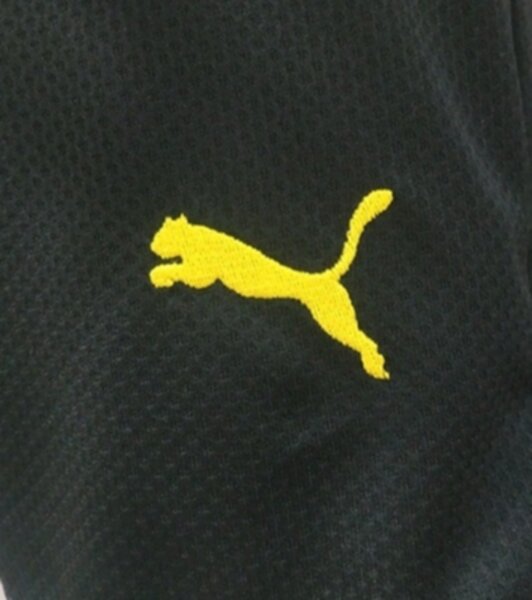 форма Borussia Dortmund  длинный рукав 2020-2021домашняя