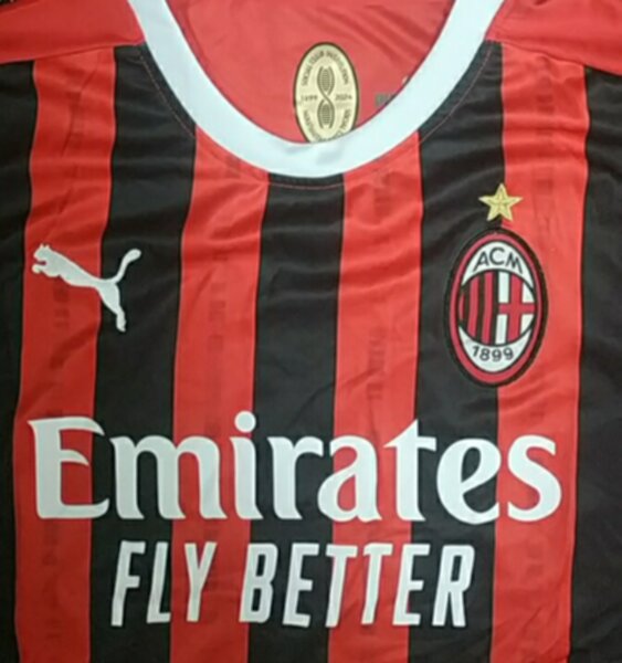 форма AC Milan 2024-2025 puma домашняя ,полиэстер 100%