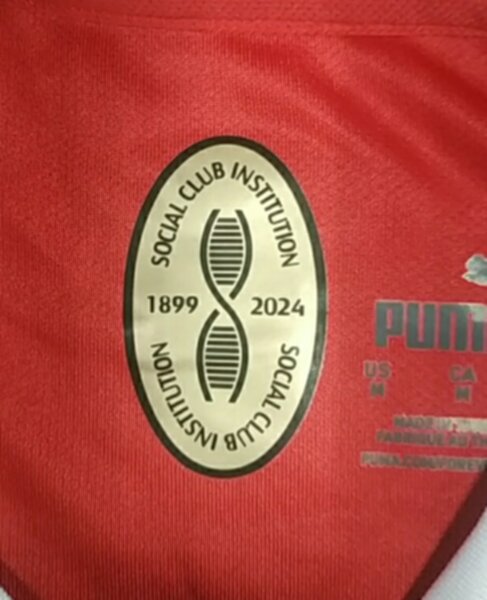 форма AC Milan 2024-2025 puma домашняя ,полиэстер 100%