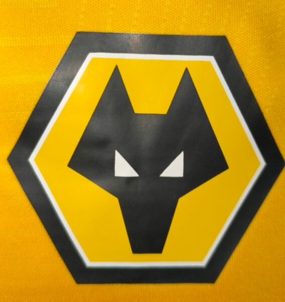 форма Wolverhampton 2024-2025 домашняя,полиэстер 100%