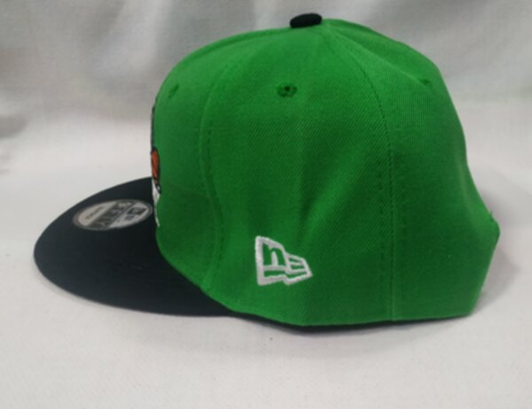 снэпбэк Boston Celtics
