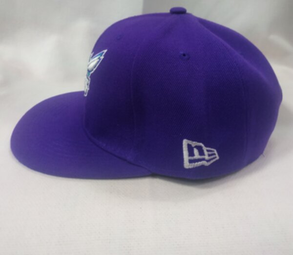 снэпбэк Charlotte Hornets,55-58см.