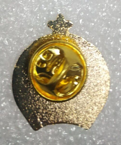 значок Динамо Минск  №0854,металл,1,5см.