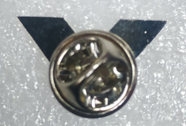 значок ХК "Пинские ястребы"  №1037  металл, 2*1,5см.