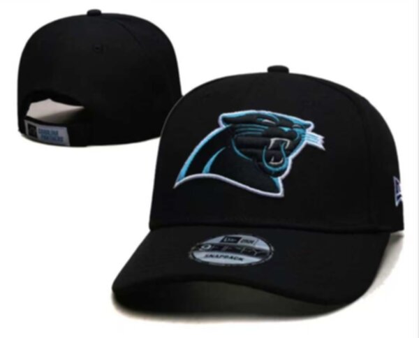 бейсболка Carolina Panthers