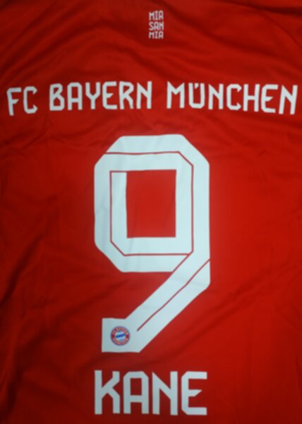 форма Bayern Munchen  №9 KANE  2025-2026 adidas,домашняя,полиэстер 100%