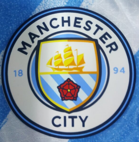 майка Manchester City, 2025-2026, adidas, домашняя,длинный рукав,полиэстер 100%