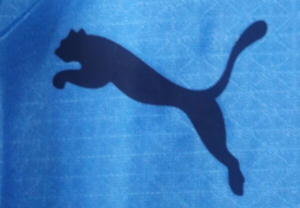 майка Manchester City, 2025-2026, adidas, домашняя,длинный рукав,полиэстер 100%
