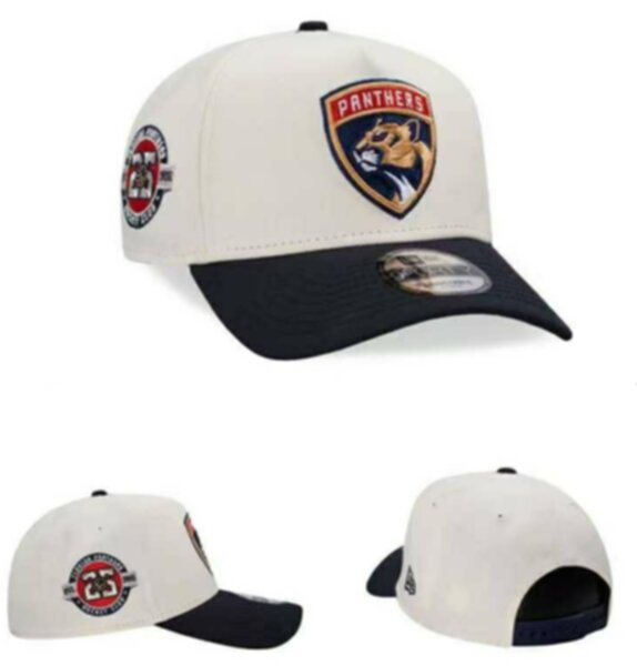 бейсболка Florida Panthers