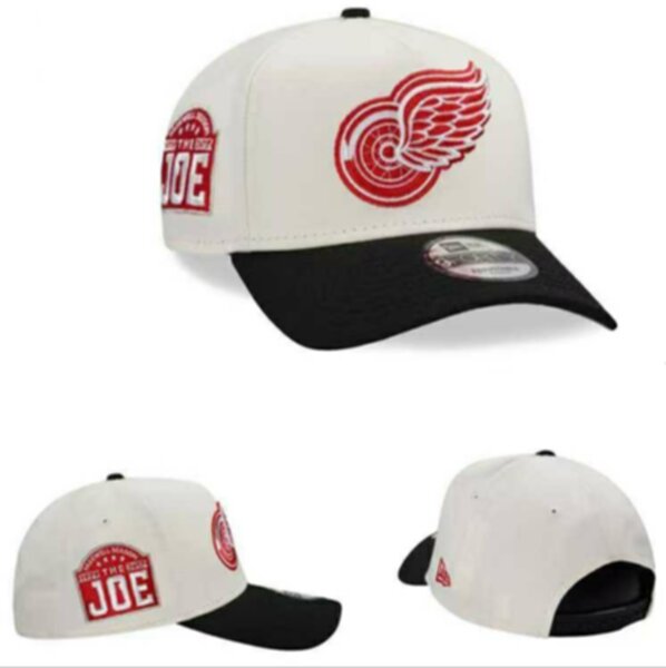 бейсболка Detroit Red Wings new era