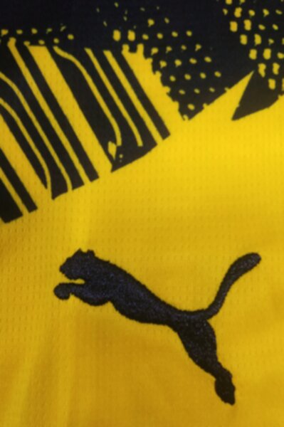 форма Borussia Dortmund,2025-2026,домашняя,полиэстер 100%