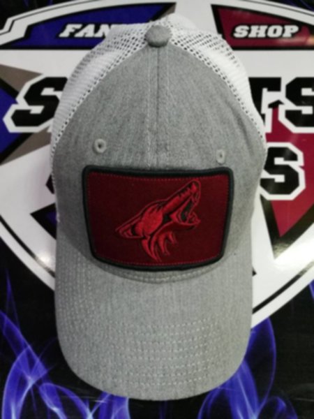 бейсболка Arizona Coyotes
