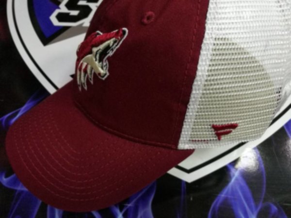 бейсболка Arizona Coyotes