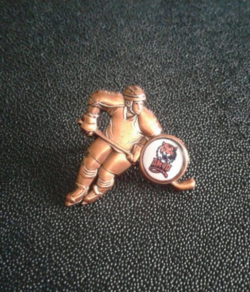 значок Амур  №0665