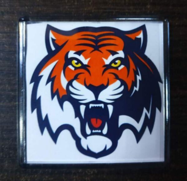 магнит Амур Хабаровск  6х6см пластик