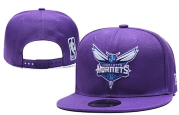 снэпбэк Charlotte Hornets,55-58см.