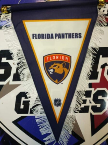 вымпел Florida Panthers  40 Х 25 см  матерчатый
