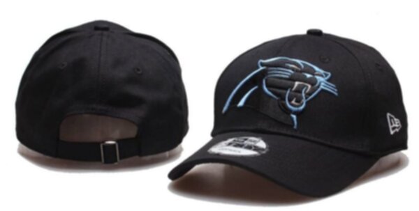 бейсболка Carolina Panthers