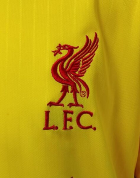 форма Liverpool   2021-2022  резервная