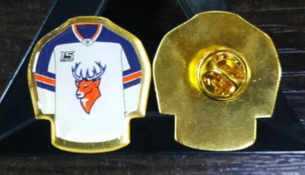 значок Торпедо Нижний Новгород №1418  3см х 2,5 см, металл + полимерная смола