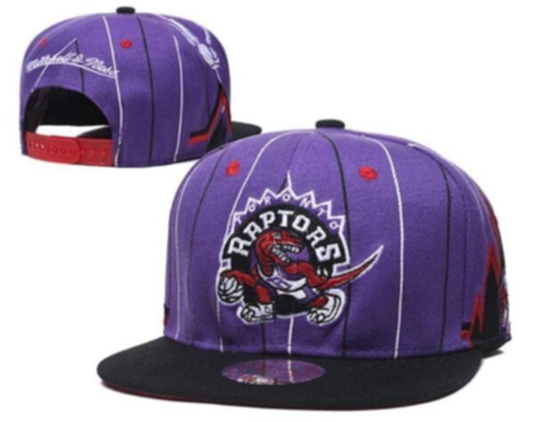 снэпбэк Toronto Raptors