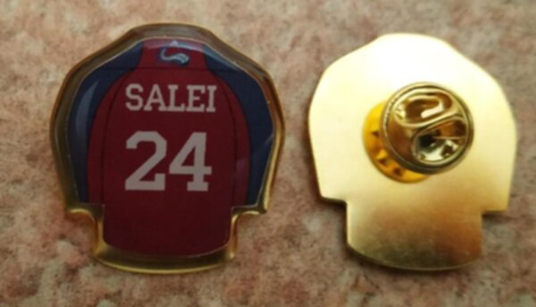 значок Colorado Avalanche №24 SALEI №1394  металл + полимерная смола