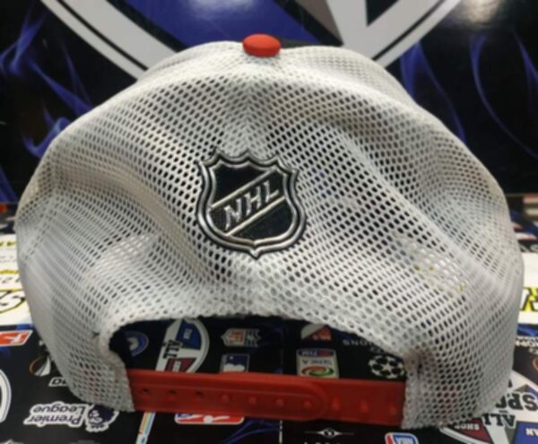 бейсболка Ottawa Senators