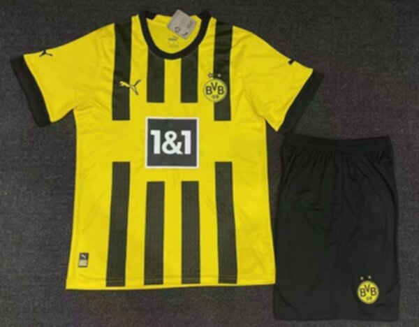 форма Borussia Dortmund 2022-2023 puma домашняя 