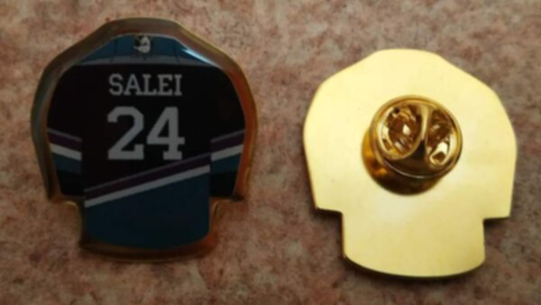 значок Anaheim Ducks №24 SALEI №1390  металл + полимерная смола