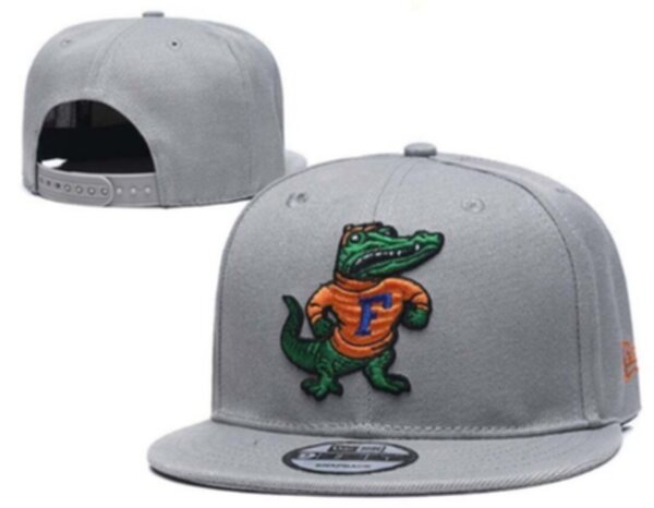снэпбэк Florida Gators