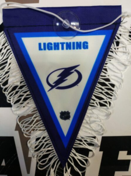 вымпел   Tampa Bay Lightning  16 Х 11 см  матерчатый