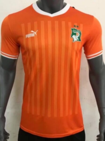 майка сборной Кот д'Ивуар  2022