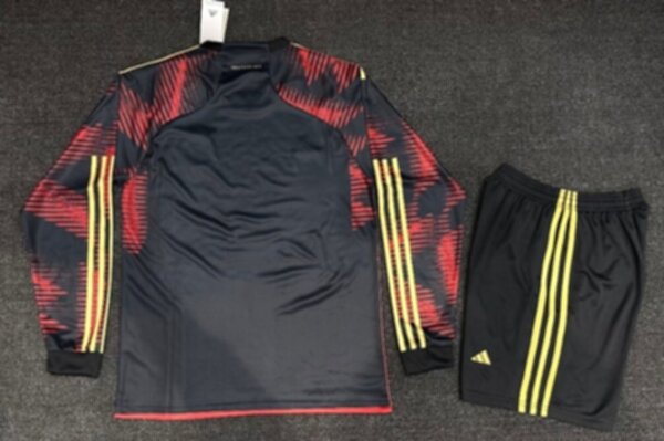 форма  сборной Германии длинный рукав  World Cup Qatar 2022 полиэстер 100%