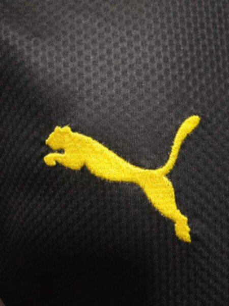 форма Borussia Dortmund  длинный рукав 2020-2021 гостевая  полиэстер 100%