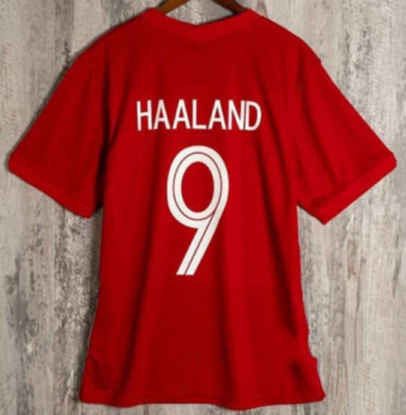 майка сборной Норвегии №9 HAALAND   Euro 2020