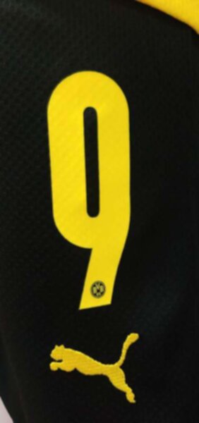 форма Borussia Dortmund  №9  HAALAND  2021-2022  домашняя  полиэстер 100%