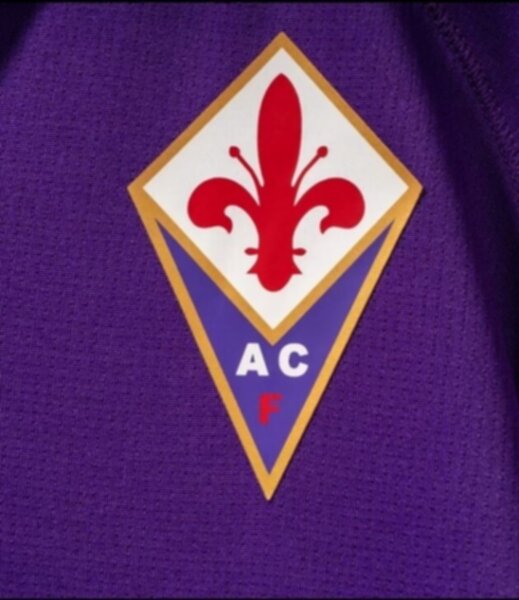 майка Fiorentina №91 Kokorin