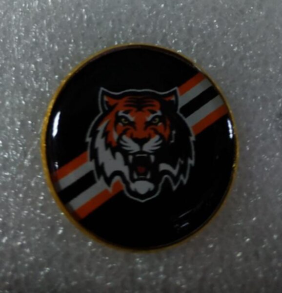 значок  Амур  №1209  2,5 см металл+полимерная смола