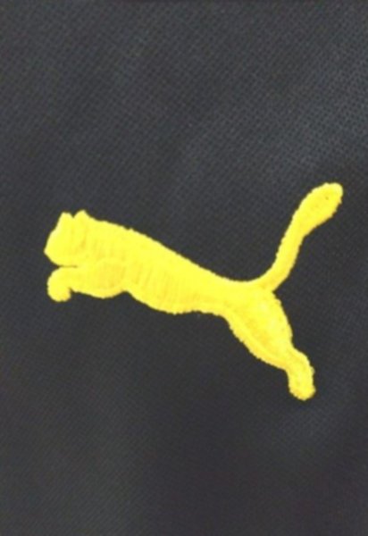 форма Borussia Dortmund   2019-2020   домашняя 