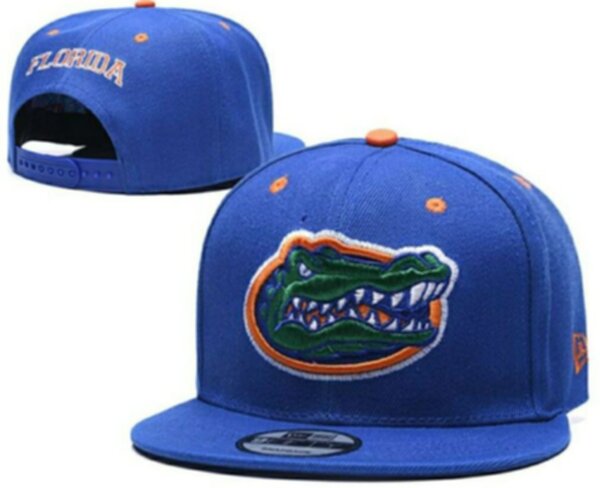 снэпбэк Florida Gators