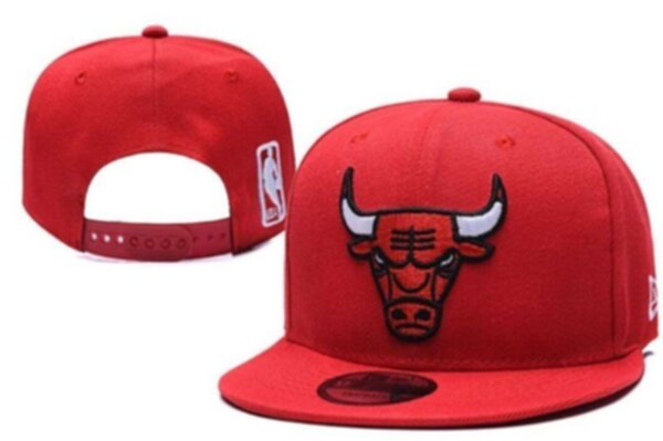 снэпбэк Chicago Bulls