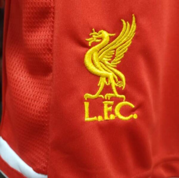 форма Liverpool   длинный рукав