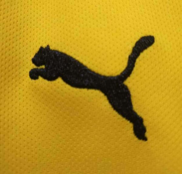 форма Borussia Dortmund  №9  HAALAND  2021-2022  домашняя  полиэстер 100%