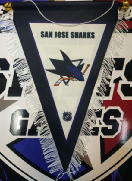вымпел San Jose Sharks   40 Х 25 см  матерчатый