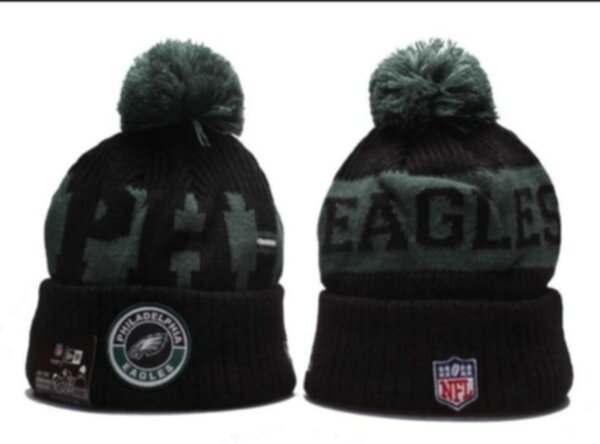 шапка Philadelphia Eagles  акрил 100%