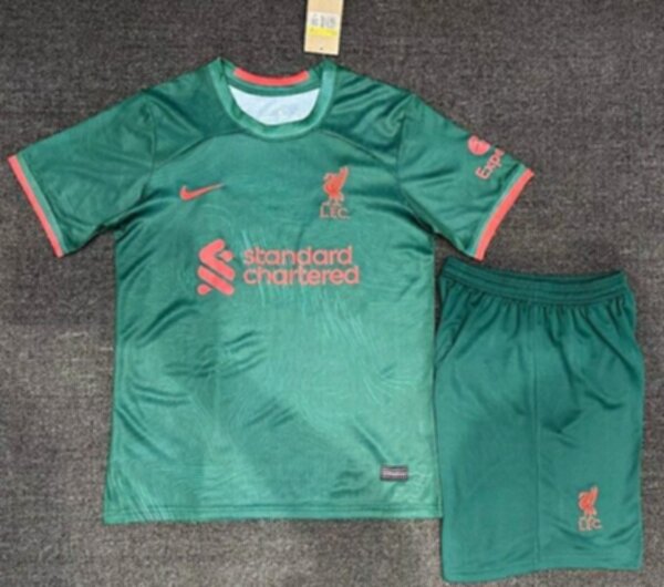 форма Liverpool   2022-2023 Nike резервная
