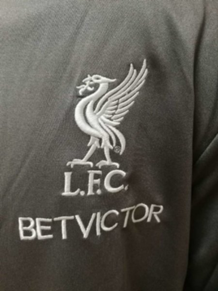 тренировочный костюм Liverpool  2018-2019