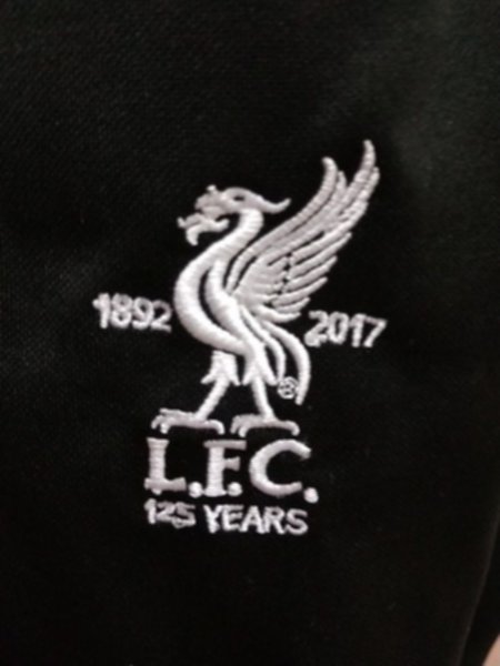 тренировочный костюм Liverpool  2018-19  полиэстер 100%